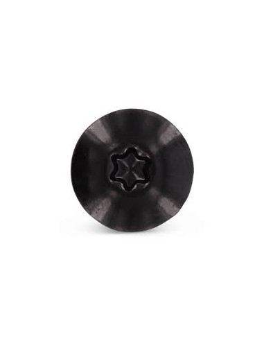 1 x Vis de facade TORX T20 4.8X38 Diamètre de...