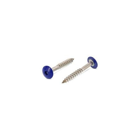 1 x Vis de facade TORX T20 4.8X32 Diamètre de tête: 12.3 Inox A2 RAL5002