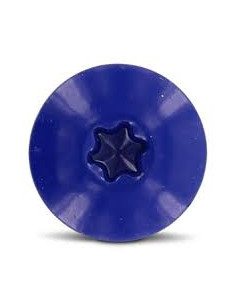 Vis de facade TORX T20 4.8X32 Diamètre de tête: 12.3 Inox... 2