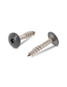 Vis de facade TORX T20 4.8X25 Diamètre de tête: 12.3 Inox...