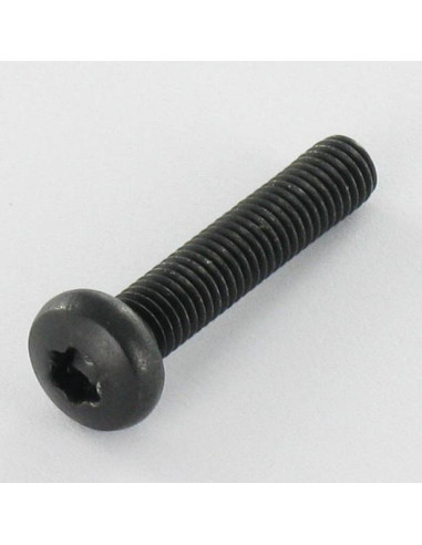 1 x Vis métaux tête cylindrique bombée large...
