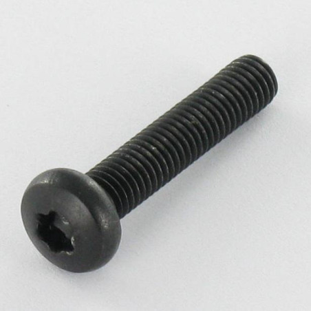 1 x Vis métaux tête cylindrique bombée large Inox A2 M5X25 Noir TORX T20