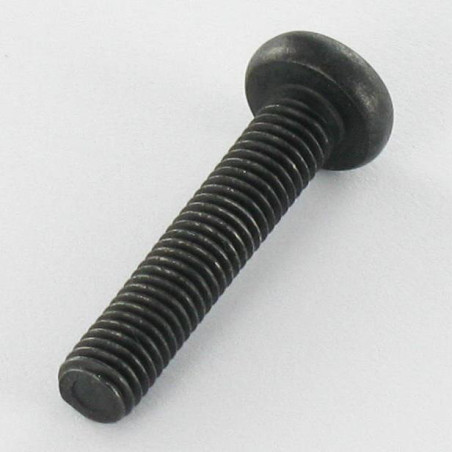 1 x Vis métaux tête cylindrique bombée large Inox A2 M5X25 Noir TORX T20