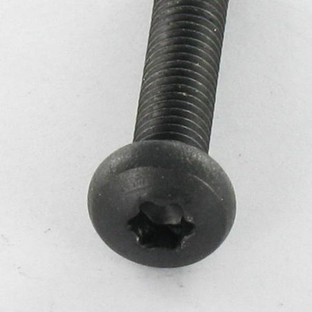 1 x Vis métaux tête cylindrique bombée large Inox A2 M5X25 Noir TORX T20