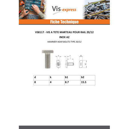 1 x Vis métaux Tête marteau 8.7X15.5X4 M8X20 Inox A2 T20/12