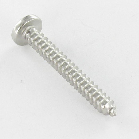1 x Vis tôle tête cylindrique bombée large Pozi 5.5X19 Inox A4