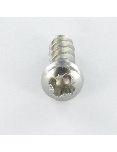 1 x Vis pvc Tête cylindrique bombée TCB Pozi...