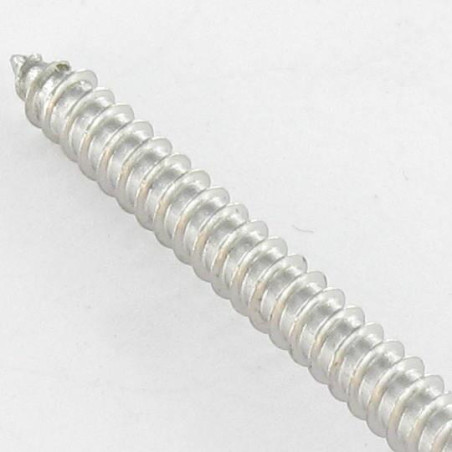 1 x Vis tôle Inviolable Tête cylindrique TC Snake eyes 4.2X38 Inox A2