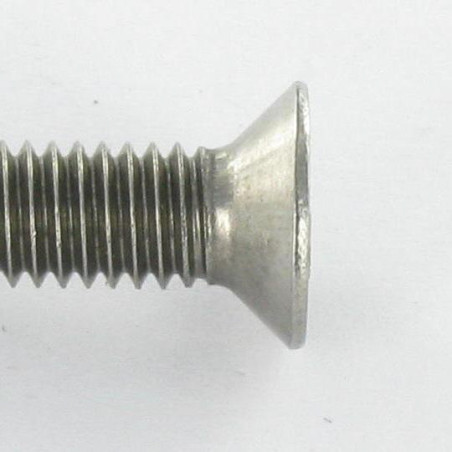1 x Vis métaux Inviolable Tête fraisée Snake eyes M5X20 Inox A2