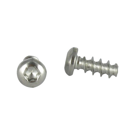 1 x Vis pvc tête cylindrique bombée large 5X30 TORX T20 Inox A2 400HBSSRR