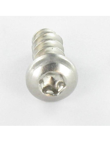 1 x Vis pvc tête cylindrique bombée large 5X30...