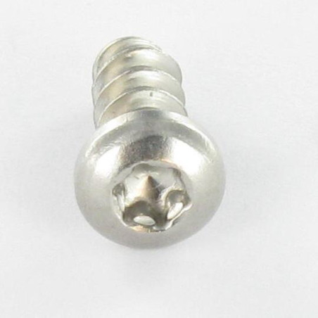 1 x Vis pvc tête cylindrique bombée large 5X30 TORX T20 Inox A2 400HBSSRR