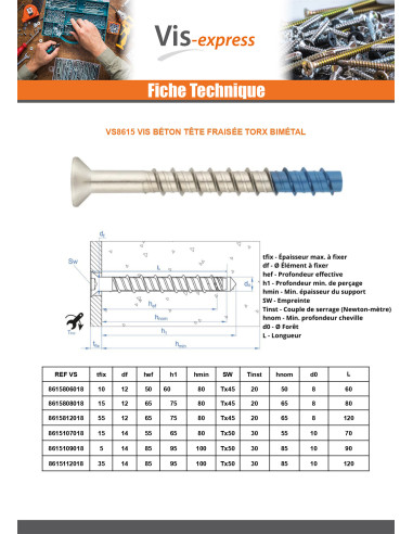 1 x Vis béton Tête fraisée TORX T50 10X90 Bimétal