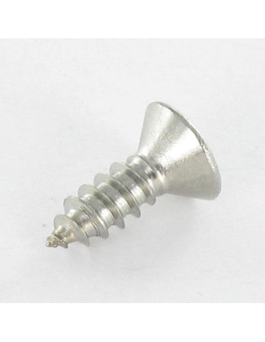 1 x Vis tôle Tête fraisée Carré 4.8X25...