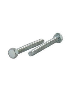 Vis tôle Autotaraudeuse Tête hexagonale TH 6.3X100 Inox...