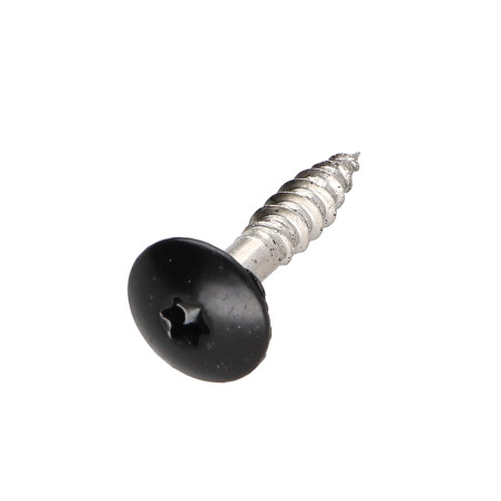 1 x Vis de facade TORX T20 4.8X25 Diamètre de tête: 12.3 Inox A2 RAL9005 noir foncé