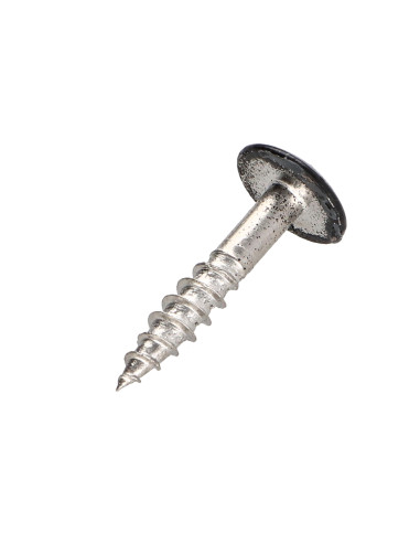 1 x Vis de facade TORX T20 4.8X25 Diamètre de...