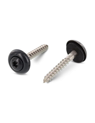 1 x Vis faitage Tête fraisée bombée TFB TORX...