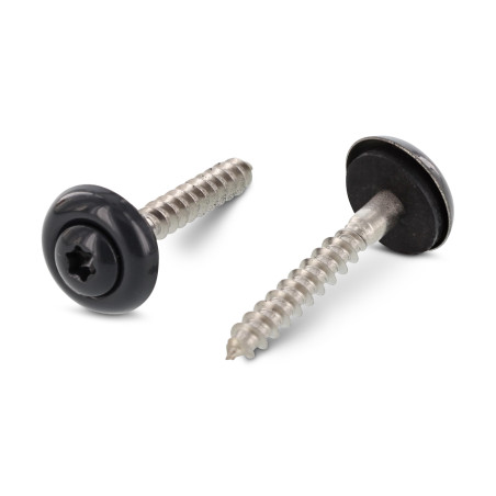 1 x Vis faitage Tête fraisée bombée TFB TORX T20 Inox A2 RAL7016 gris anthracite 4.5X35 Rondelle d'étanchéite EPDM