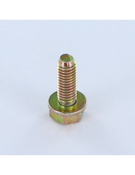 1 x Vis métaux Tête hexagonal fendue M6X18 Avec Rondelle Bichromaté