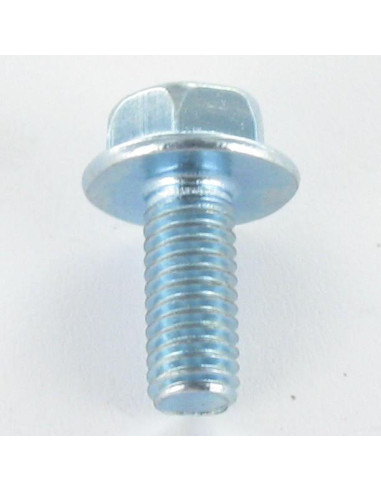 1 x Vis métaux Tête hexagonale TH M5X12 Embase...