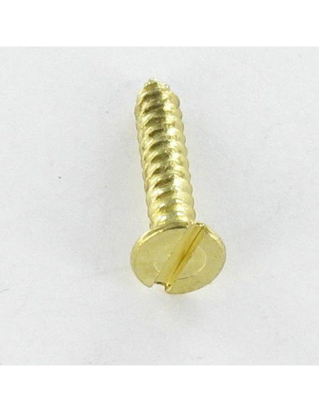 1 x Vis tôle Tête fraisée Fendue 2.9X16 Acier laitonne