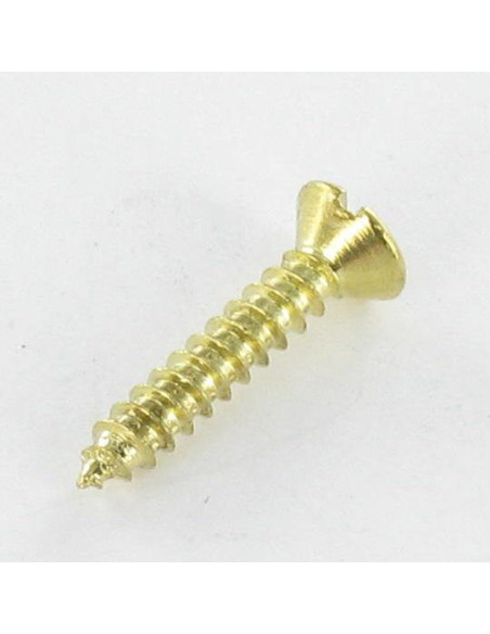 1 x Vis tôle Tête fraisée Fendue 2.9X16 Acier laitonne