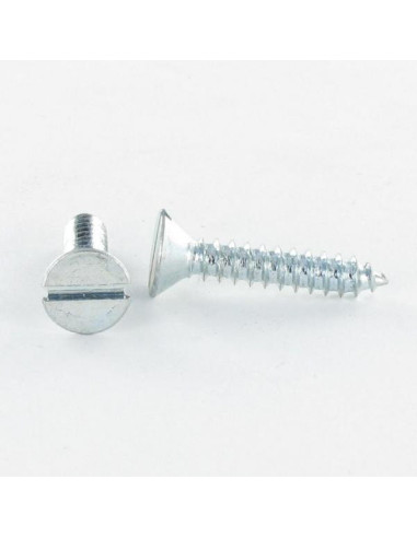1 x Vis tôle Tête fraisée Fendue 4.2X13 Acier...