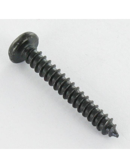 1 x Vis tôle Tête cylindrique TC Fendue 3.5X16 Acier zingué noir