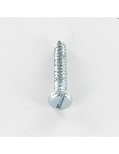 1 x Vis tôle Tête cylindrique TC Fendue 4.2X13 Acier zingué