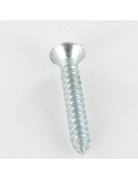1 x Vis tôle Tête fraisée bombée TFB Fendue 2.9X16 Acier zingué