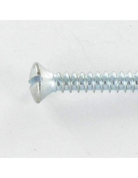 1 x Vis tôle Tête fraisée bombée TFB Fendue 2.9X19 Acier zingué