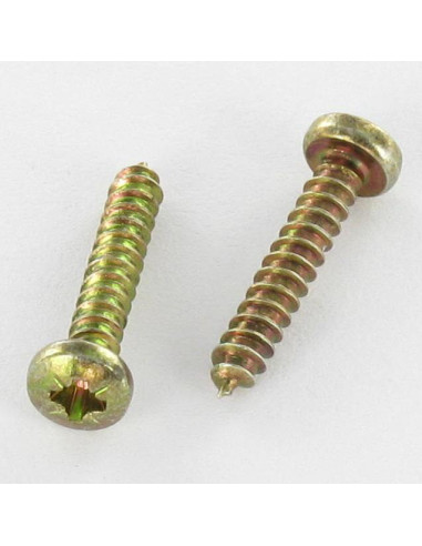 1 x Vis tôle tête cylindrique bombée large Pozi...