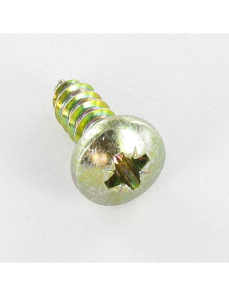 1 x Vis tôle tête cylindrique bombée large Pozi 4.8X13 Bichromaté