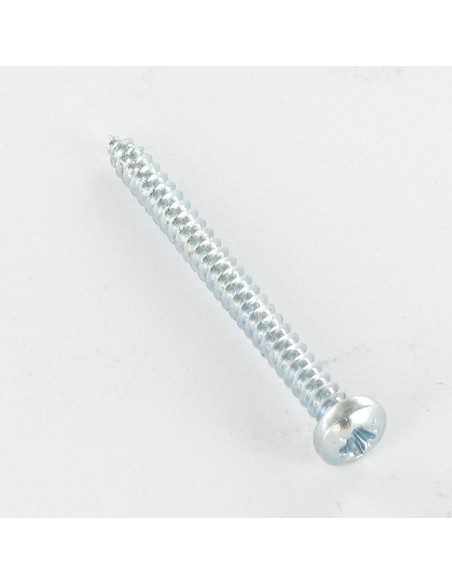 1 x Vis tôle tête cylindrique bombée large Pozi 5.5X13 Acier zingué