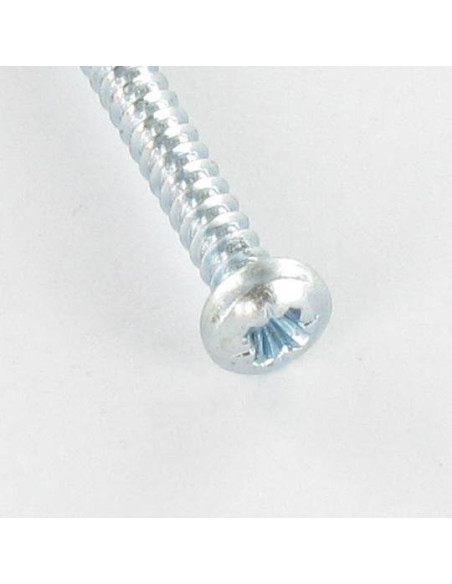 1 x Vis tôle tête cylindrique bombée large Pozi 2.9X6.5 Acier zingué