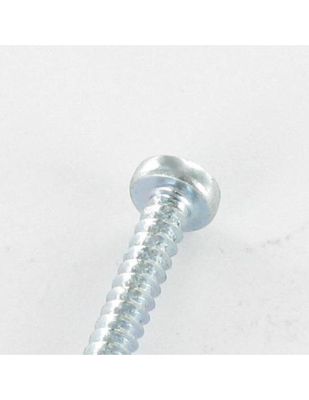 1 x Vis tôle tête cylindrique bombée large Pozi 2.9X13 Acier zingué