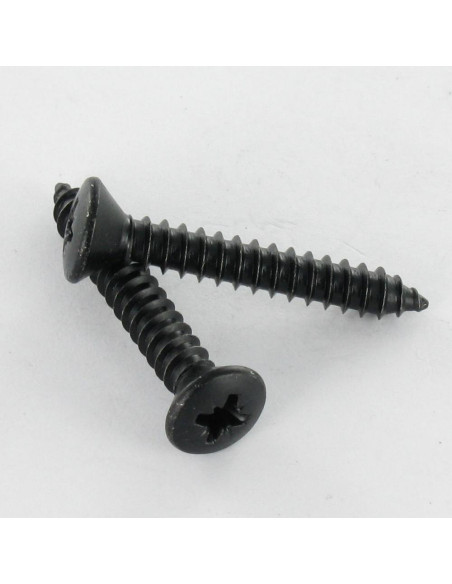 1 x Vis tôle Tête fraisée bombée TFB Pozi 4.8X16 Acier zingué noir