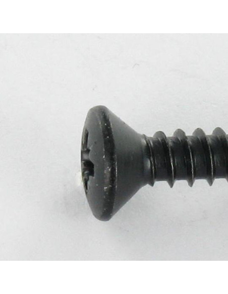 1 x Vis tôle Tête fraisée bombée TFB Pozi 4.8X16 Acier zingué noir