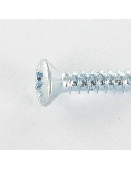 1 x Vis tôle Tête fraisée bombée TFB Pozi 2.9X9.5 Acier zingué