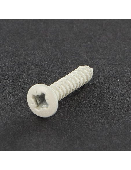 1 x Vis tôle Tête fraisée bombée TFB Pozi 2.9X16 Acier zingué Laqué blanc R9003