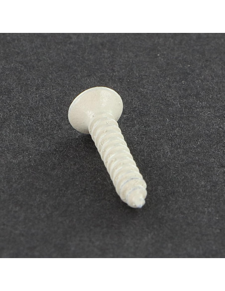 1 x Vis tôle Tête fraisée bombée TFB Pozi 2.9X16 Acier zingué Laqué blanc R9003