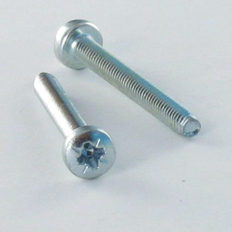 Vis autotaraudeuse tête cylindrique bombée large Pozi Acier brut DIN7500C DIN7500C PZ