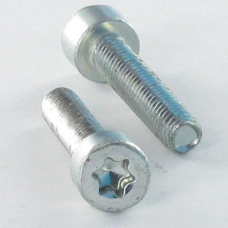 Vis autotaraudeuse Tête cylindrique TC TORX Acier brut DIN7500EE DIN7500EE TORX